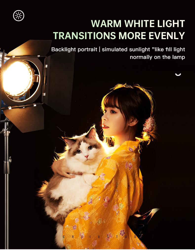 Beiyang 2000W الأضواء الشعر ضو - مراجعة Photography Lighting For Indoor وسعره