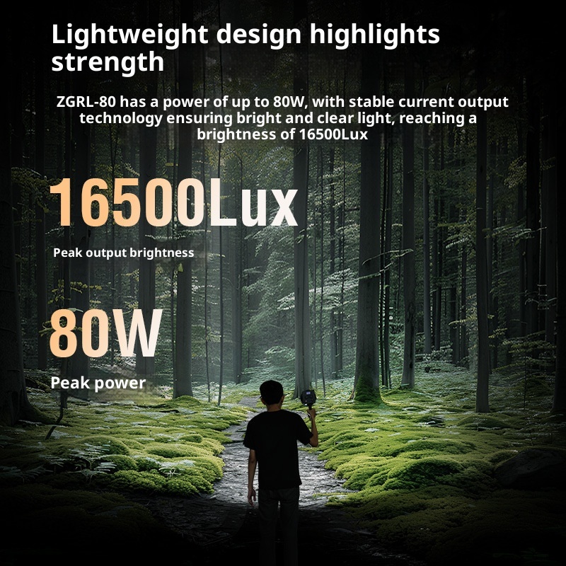 ZGRL80 80 واط COB LED الفيديو  - مراجعة Photography Lighting Outdoor وسعره